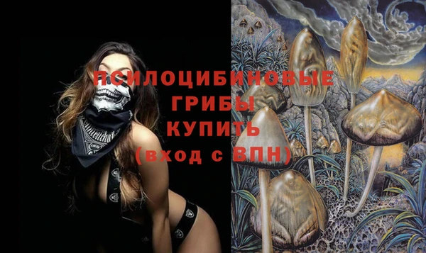прущая мука Богородицк