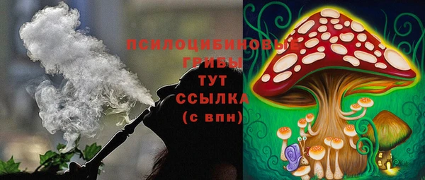 мдма Рославль