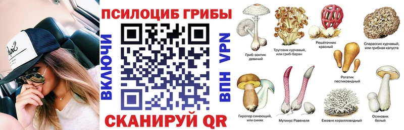 хочу   Фролово  Галлюциногенные грибы Magic Shrooms 