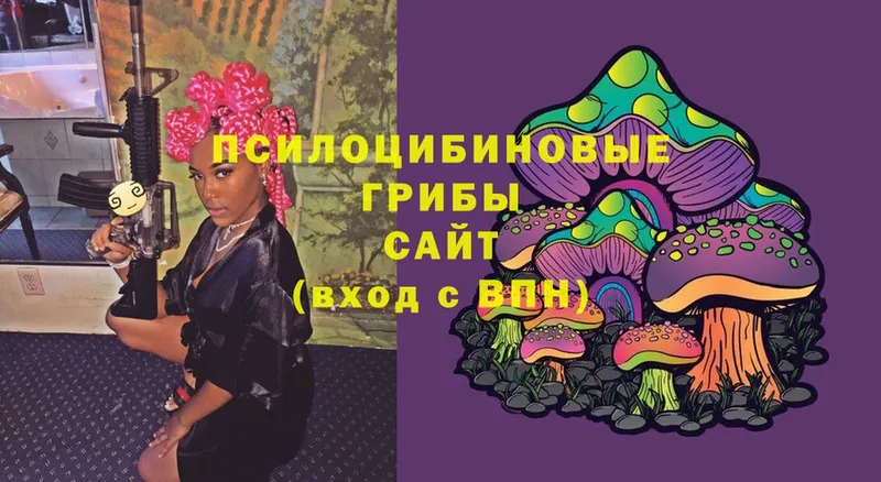 Галлюциногенные грибы Magic Shrooms  Фролово 