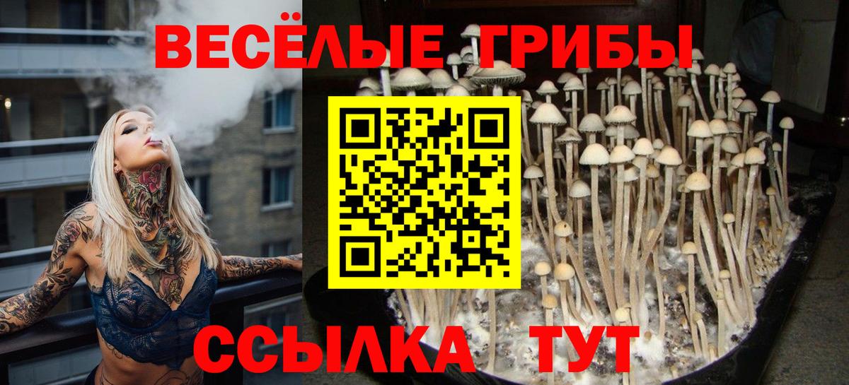 наркота  Галлюциногенные грибы мухоморы  Вход с VPN  Фролово 