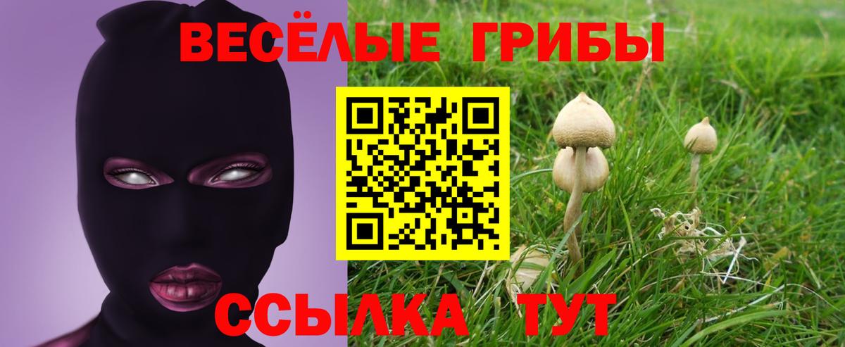 Галлюциногенные грибы мицелий Фролово