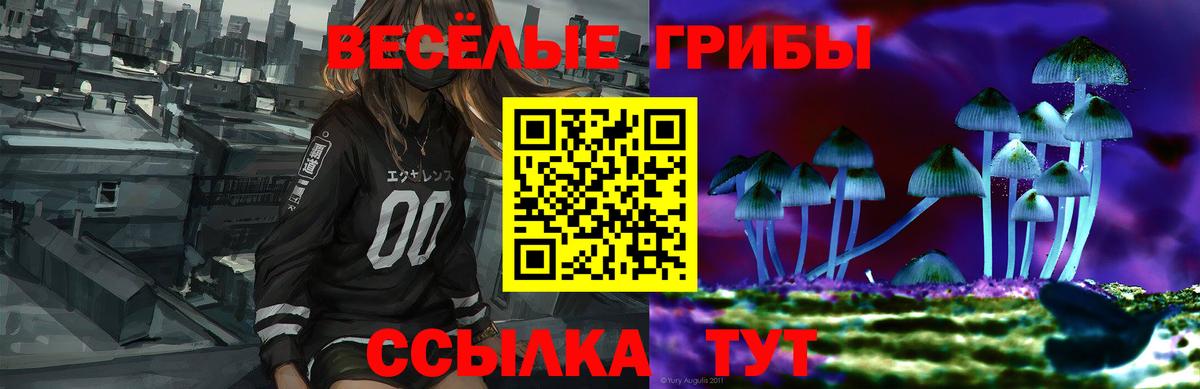 Галлюциногенные грибы прущие грибы Фролово